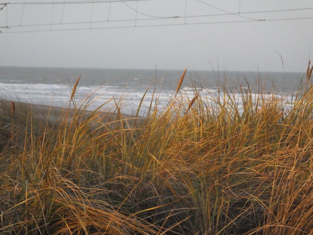 Sable D'O -Vlak Aan De Zee- Bed & Breakfast Mariakerke  Ngoại thất bức ảnh